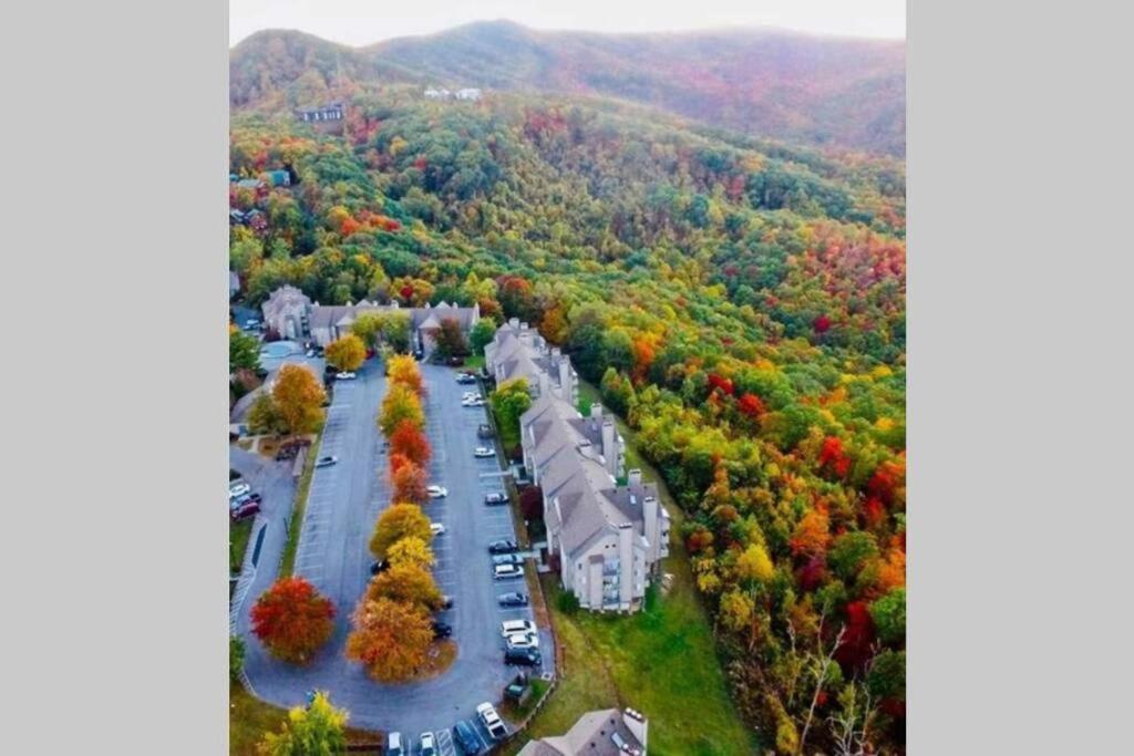 Mountain Villa Magnificent Views - 2 Pools, Fireplace & Hot Tub แกตลิงเบิร์ก ภายนอก รูปภาพ